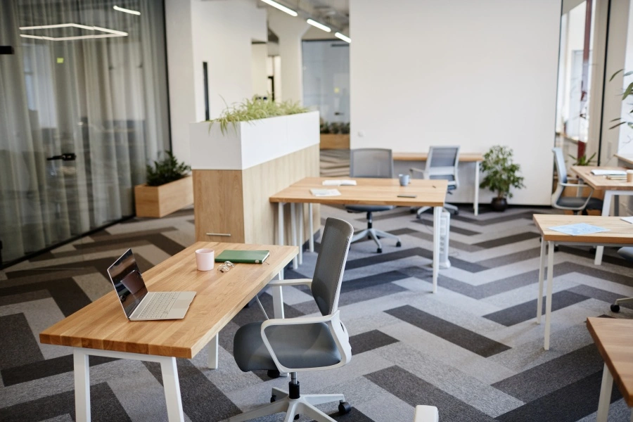 Carpeting and Rugs for Sound Absorption 3 Carpeting and Rugs for Sound Absorption 3