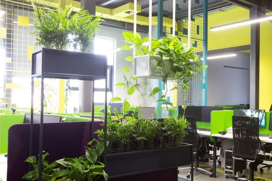 Plants for Natural Sound Absorption 1 Plants for Natural Sound Absorption 1