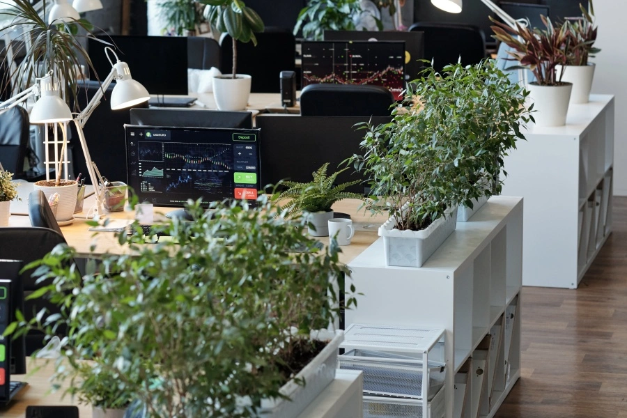 Plants for Natural Sound Absorption 2 Plants for Natural Sound Absorption 2
